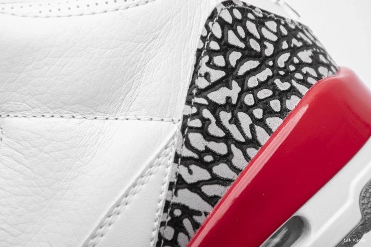 136064-116 3 Hall of  Fame Jordan Retro 0303